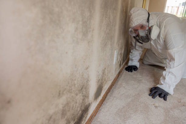 Forensic Mold Investigation in Neenah, WI